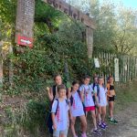 WhatsApp Image 2022-07-21 at 15.39.34 (1)